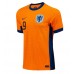 Niederlande Wout Weghorst #9 Heimtrikot EM 2024 Kurzarm